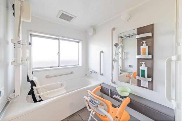 Senior Bathroom Renovation in Novi