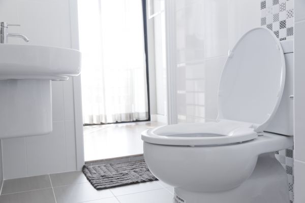 Toilet Relocation in Novi