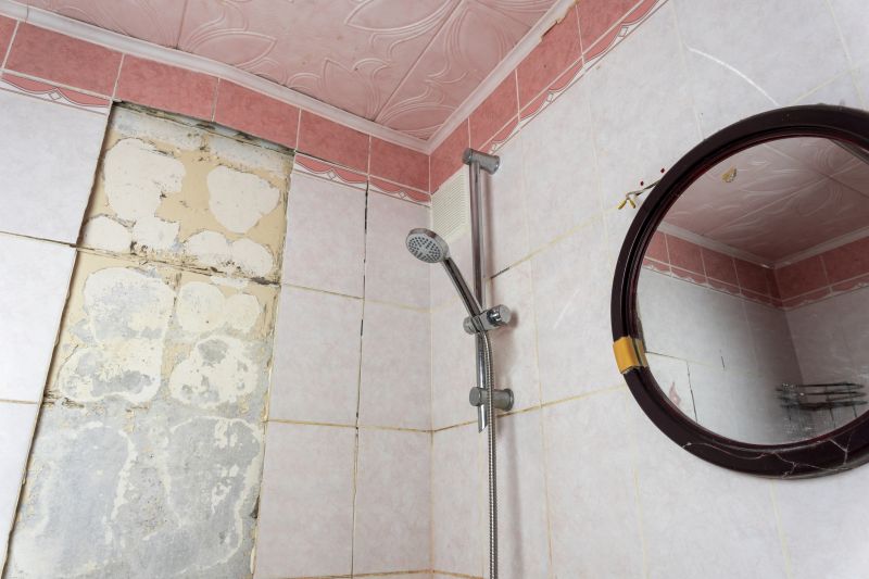 Top Shower Remodeling Companies in Walled Lake, MI
